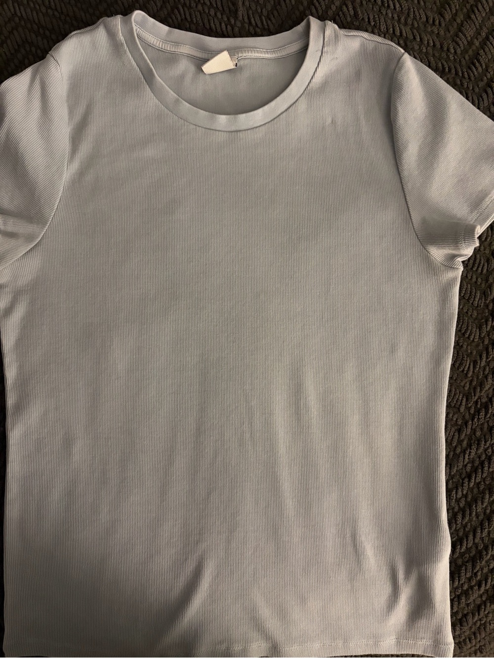 Aritzia light blue homestretch Short-Sleeve Tee in Pale Blue